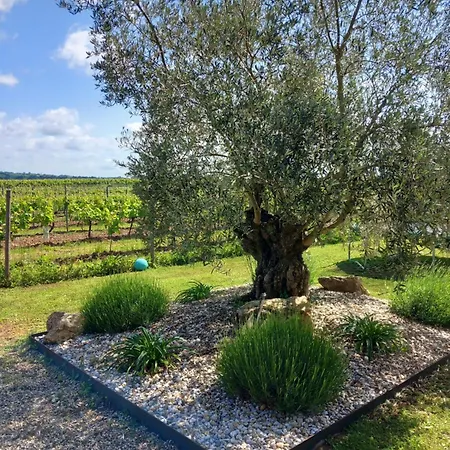 Au Calme Avec Vue Sur Les Vignes