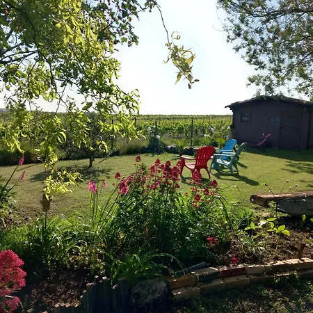Au Calme Avec Vue Sur Les Vignes Casa vacanze Mosnac