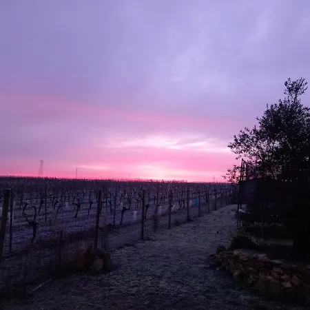 Casa vacanze Au Calme Avec Vue Sur Les Vignes Mosnac