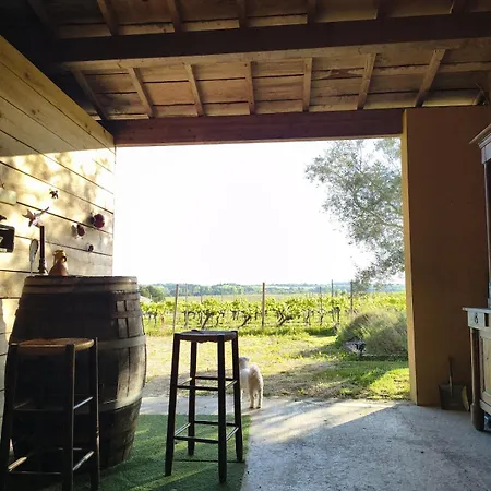 Au Calme Avec Vue Sur Les Vignes * Mosnac