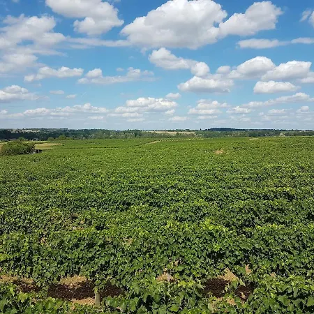 Au Calme Avec Vue Sur Les Vignes Casa vacanze