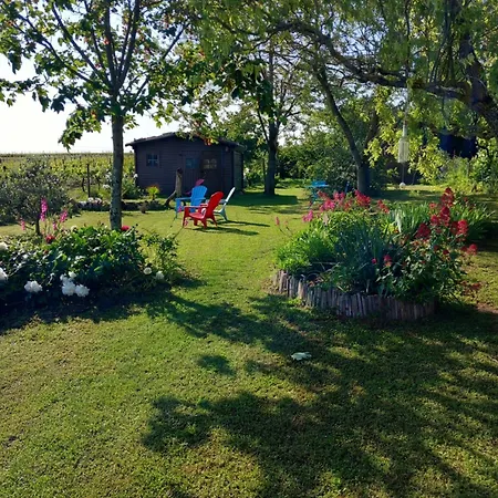 Au Calme Avec Vue Sur Les Vignes Casa vacanze Mosnac